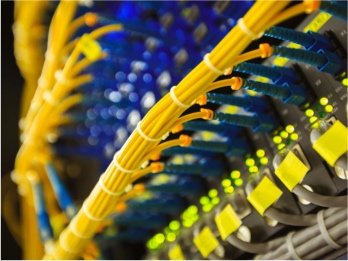 Web-Hosting-Server-Cables-Small-Vs